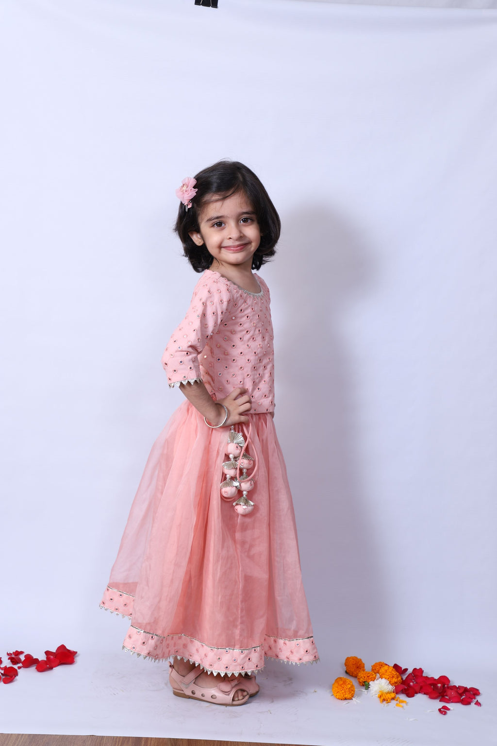 Pink Georgette, Organza, Crepe Mirrors Work Hem Lehenga