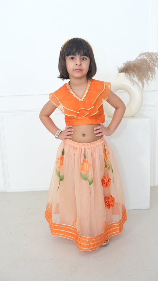 Orange Organza n silk Lehnga set