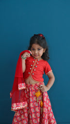 Red silk patolla lehnga set