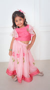Pink Hand Painted Silk Blouse with Lehenga